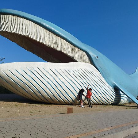 Szyper Pokoje Wladyslawowo Exterior photo