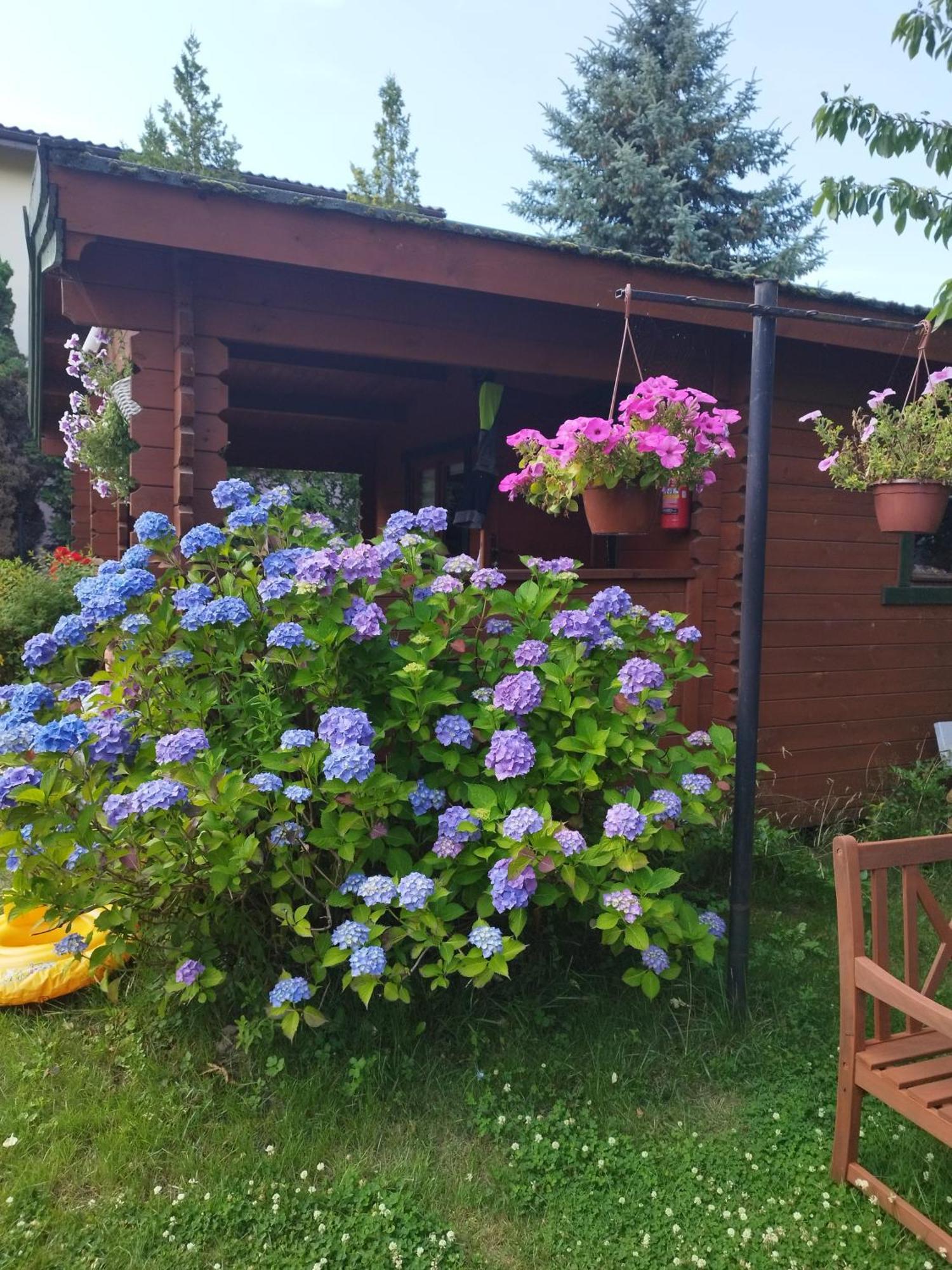 Szyper Pokoje Wladyslawowo Exterior photo